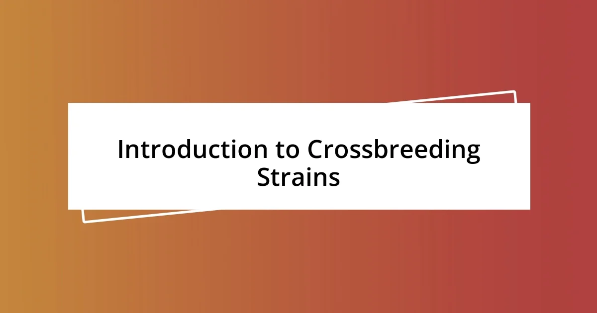 Introduction to Crossbreeding Strains